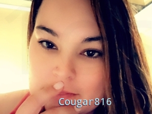 Cougar816