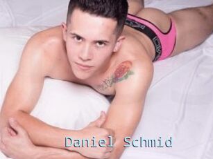 Daniel_Schmid