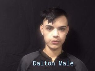 Dalton_Male