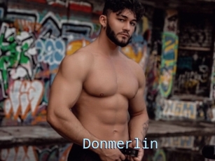 Donmerlin