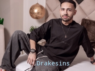 Drakesins