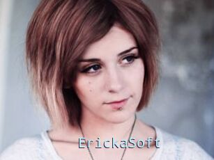 ErickaSoft