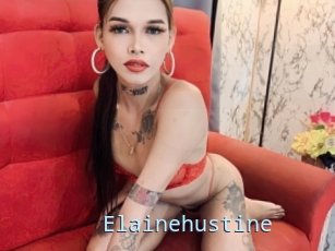 Elainehustine