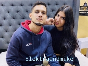 Elektraandmike