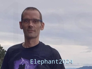 Elephant2024