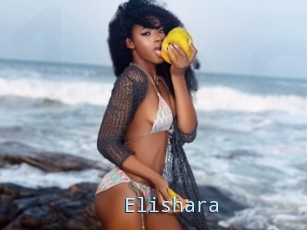 Elishara