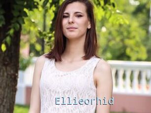 Ellieorhid