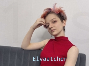 Elvaatcher