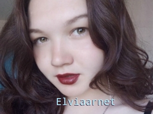 Elviaarnet