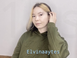 Elvinaaytes