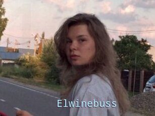 Elwinebuss