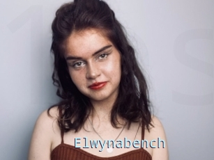 Elwynabench