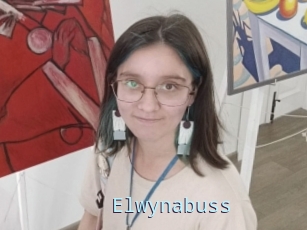 Elwynabuss