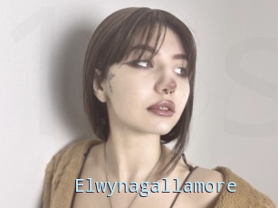 Elwynagallamore