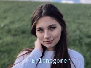 Erlenegomer