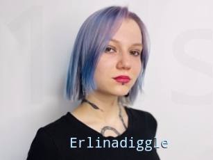 Erlinadiggle