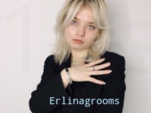 Erlinagrooms