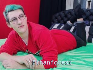 Ethanforest