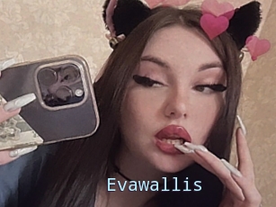 Evawallis