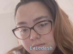 Eviedash