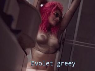 Evolet_greey