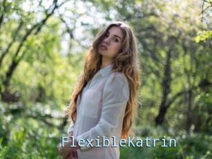 FlexibleKatrin