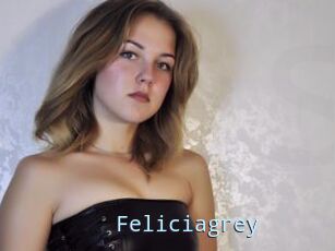 Feliciagrey