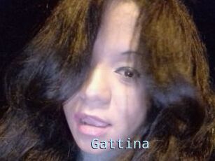 Gattina