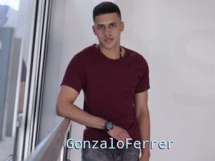 GonzaloFerrer