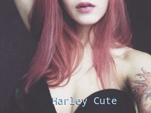 Harley_Cute