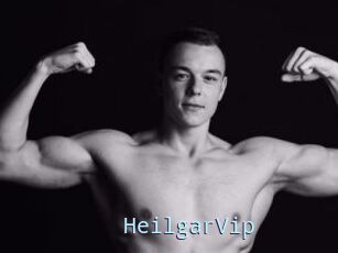 HeilgarVip