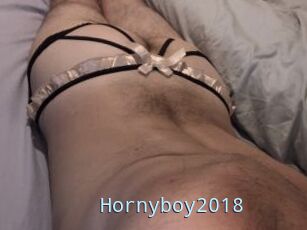 Hornyboy2018