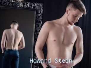 Howard_Stein