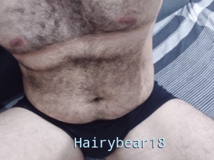 Hairybear18