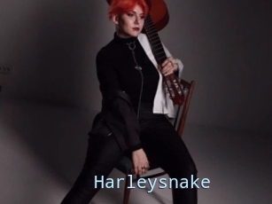 Harleysnake