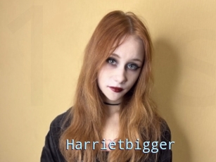 Harrietbigger