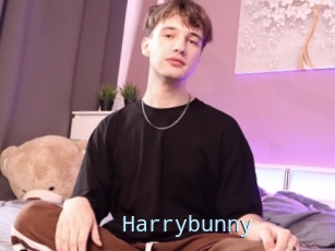 Harrybunny