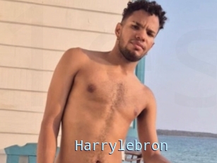 Harrylebron