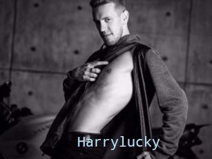 Harrylucky