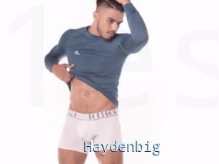 Haydenbig