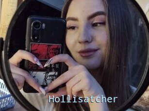 Hollisatcher