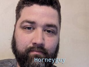 Horneyguy