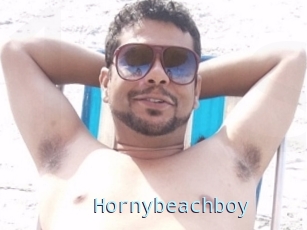 Hornybeachboy