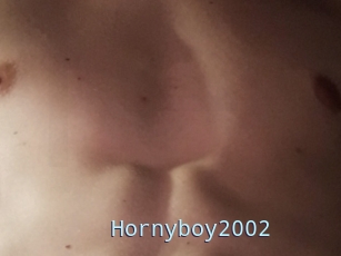 Hornyboy2002