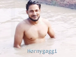 Hornygaggi