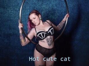 Hot_cute_cat