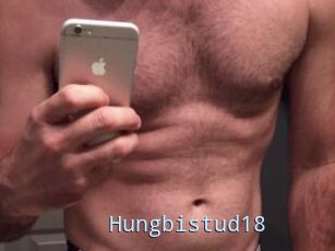 Hungbistud18