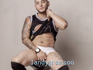 Iandygrassoo