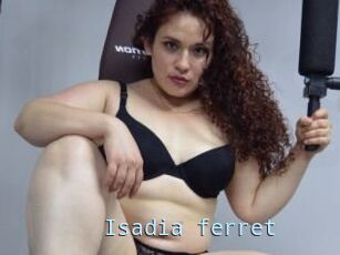 Isadia_ferret