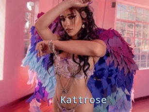 Kattrose